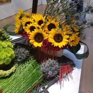 Meet your Posher, Stacy